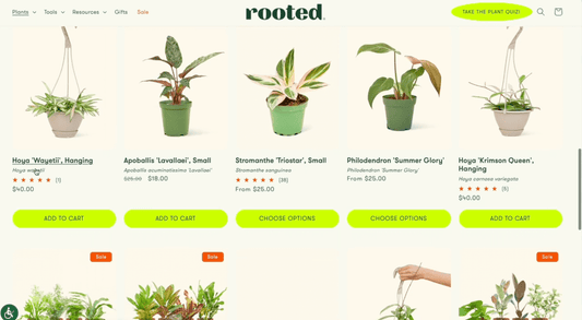 Rooted Collections